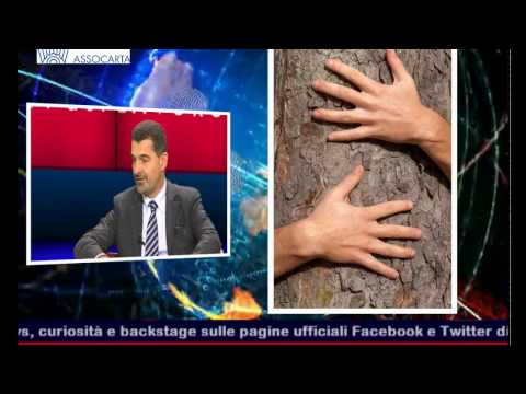 Intervista di Massimo Medugno a Pole Position - Business 24 (Business 24)