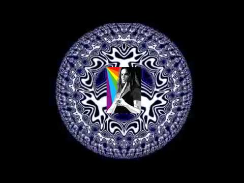 GuitarPCB G-02 Animal Demo