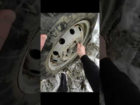 Помог бате #automobile #пан #colonelkkjϟ #funny #балык #mukbang #грузины #eating #food #юмор