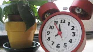 The Fiery Furnaces - The End Is Near