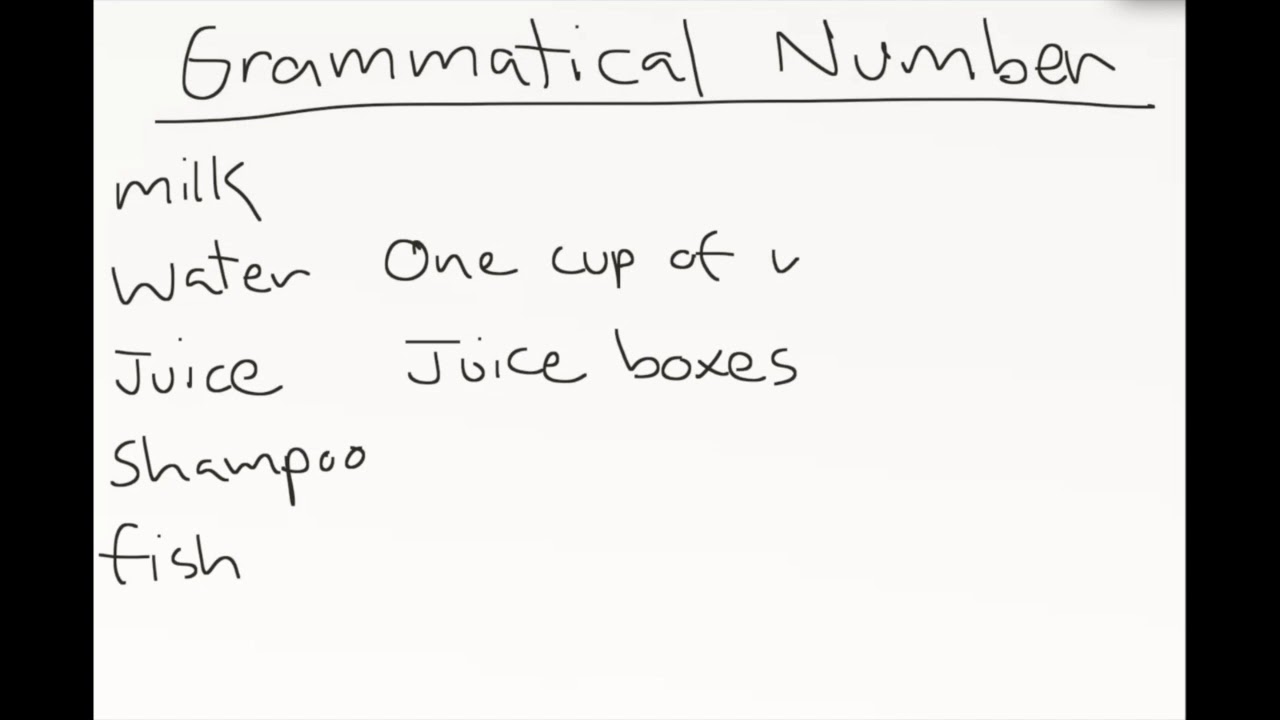 Grammatical Number