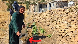 Her Son Threw Her Out… But She Built Her Own Home in the Mountains!
