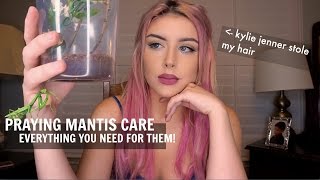 KEEPING A PRAYING MANTIS AS A PET (+ Kylie Jenner Stole My Hair)