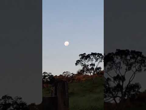 Lua 🌙 Cheia na roça, em Ouro Branco/Minas Gerais