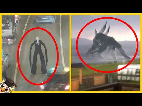 10 Giant Creatures Caught on Camera - Part 2