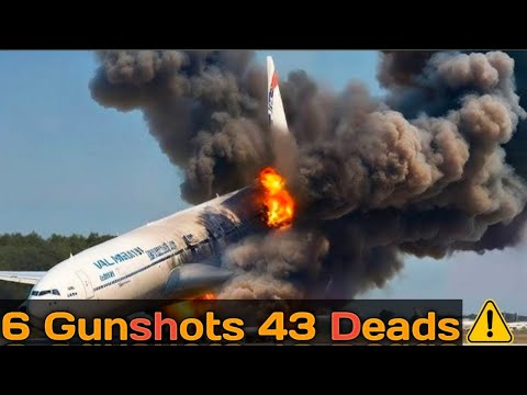 PSA Flight 1771 – A Fired Employee Crashed the Plane |Mayday Chronicles @MaydayAirDisaster