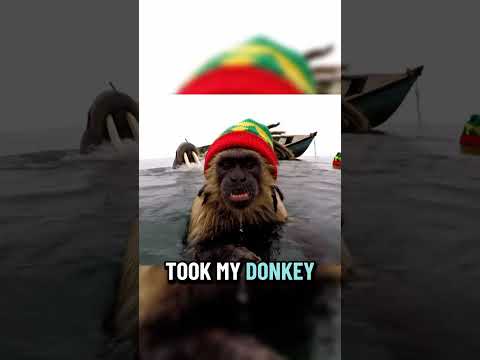 STEALING A WALRUS BABY MAMA🤰