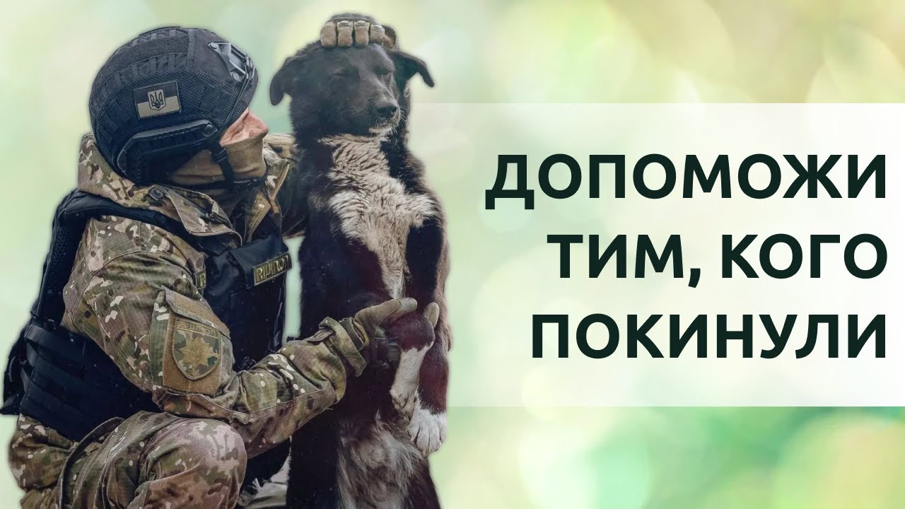 YouTube video preview