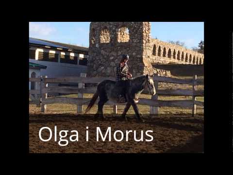 Agroturystyka "UL" zima 2016