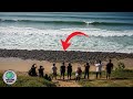 Gelombang Ribuan Ular Tiba Tiba Penuhi Pantai Bikin Gempar Pengunjung Kenapa Ini
