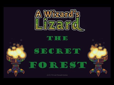A Wizard's Lizard: Find the SECRET Forest Level