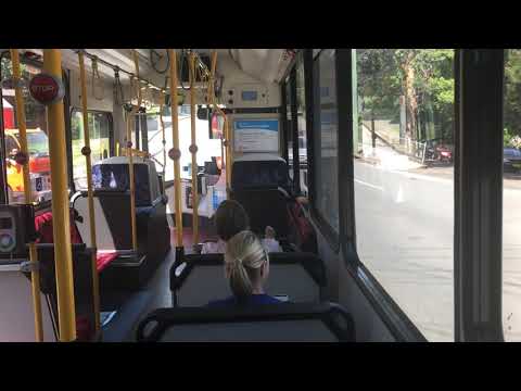 Transit Systems Sydney 2469 [2469 ST] - Scania K280UB (ZF Ecomat)