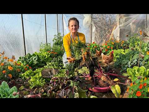 Traditional Albanian Food Preparation in the Mountains | Village Life Documentary