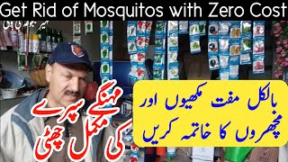 How to Get Free Rid of Mosquitos and Flies by Plants | Low Price Anti Mosquito Spray at Home #flies