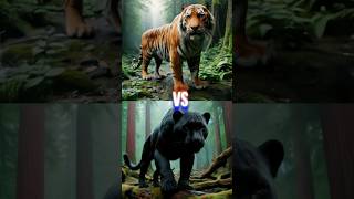 Pantera Negra vs Animais Ferozes... | #Shorts #animais #edit