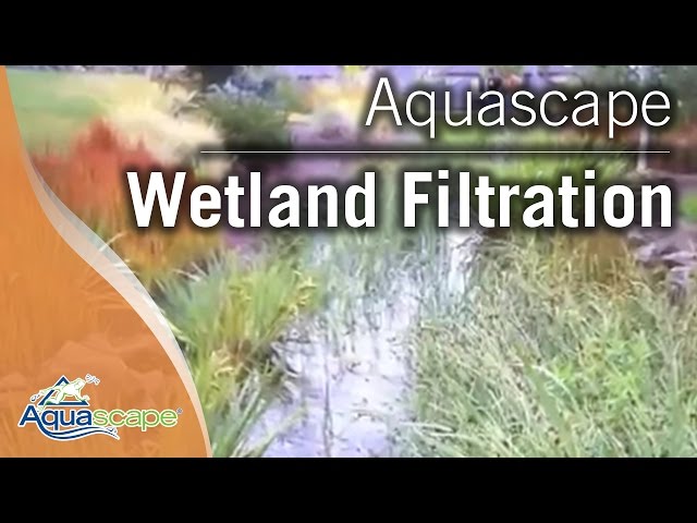 Wetland Filtration For Ponds by Aquascape