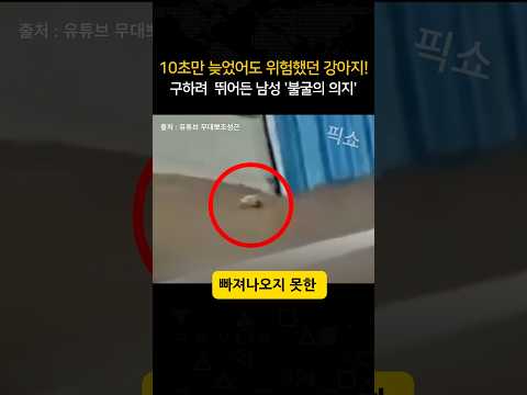 위기에 처한 강아지 구하려 폭우로 '불어난 물'에 뛰어든 남성의 불굴의 의지