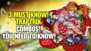 Traptrix Combo Guide! 3 Must Know Combos! Yu-Gi-Oh!
