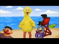 Journey To Ernie Beach