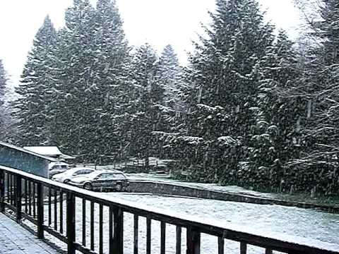 Snow in Arcata, California