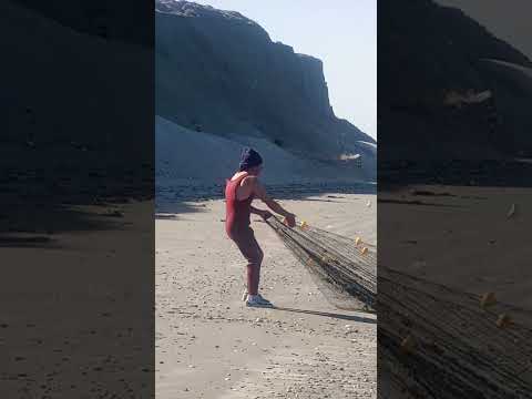 pesca artesanal de cornalito en comodoro Rivadavia Chubut argentina 2026#short#videos#pesca