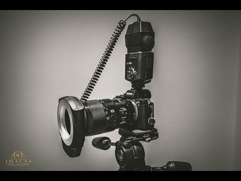 download lagu mp3 mp4 Godox Ml 150 Macro Ring Flash, download lagu Godox Ml 150 Macro Ring Flash gratis, unduh video klip Godox Ml 150 Macro Ring Flash