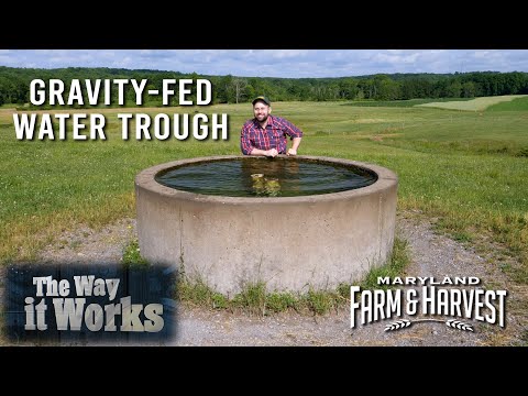 Gravity-Fed Water Troughs: Protecting Streams, Helping Cows | Maryland Farm & Harvest
