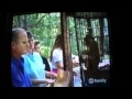 America S Funniest Home Videos