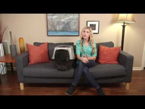 Tips for Crate-Training Your Cat - YouTube