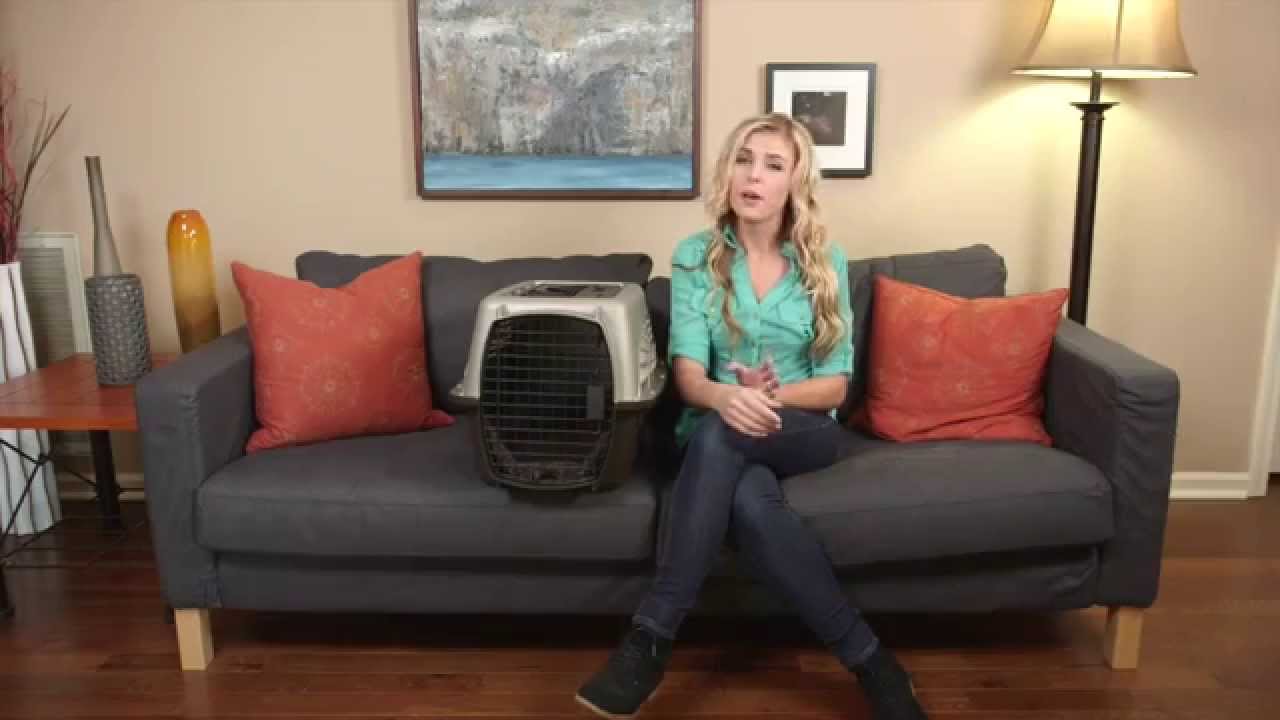 YouTube video preview