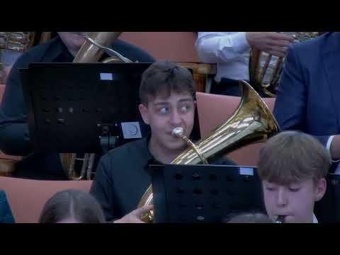 Punct  instrumental -  Fanfarele reunite Patrauti 