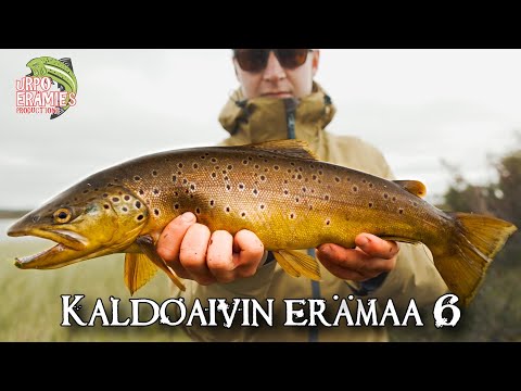 Lapin unelmien perässä | Chasing the Arctic Dream | Kaldoaivin erämaa 6