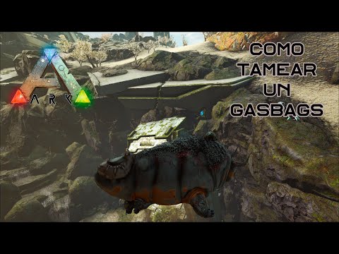 Como tamear un Gasbag de manera fácil y rápida En Ark: Survival Evolved