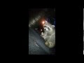 Feeding Sly Cooper