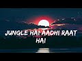 JUNGLE HAI AADHI RAAT X GRIND REMIX BY DJ HARSH SHARMA LYRICS