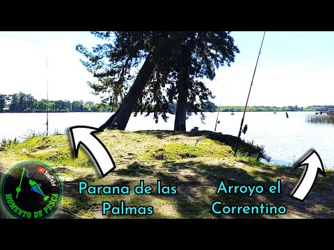 PESCA EN EL PARANA DE LAS PALMAS Y ARROYO CORRENTINO