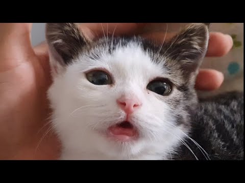 내가 앙물면 아픈가?