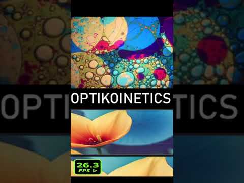 🌸 Real-Time AI Video Benchmark | FPS Performance Transforming Video into AI-Generated Flowers! 🌿✨