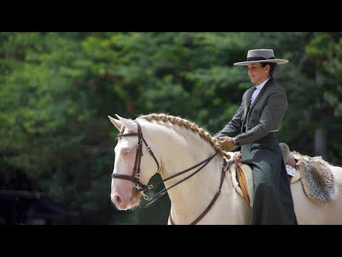 World championship of working equitation- dressage test - Nicole e Inca