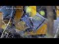 Emergency officials respond to a major train crash north of Denmark