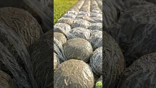 Download lagu This $20 Cement Hack Looks Like Real Cobblestone! ✨#diy mp3