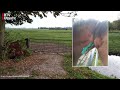 Woerdens paard stikt bijna door veel te strak touw, politie toont bewakingsbeeld [RTV Utrecht]