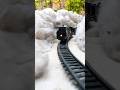 Fenfa Battery Powered Remote Control Train