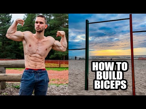 How to Build Biceps! (Only bars Only Calisthenics!)