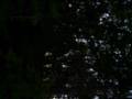 Vangelis Five Circles