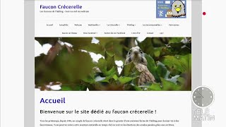 Rubrique de Laura du Web dans TéléMatin sur France 2, le 02/05/2018