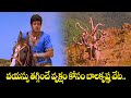 వయస్సు తగ్గించే వృక్షం కోసం బాలకృష్ణ