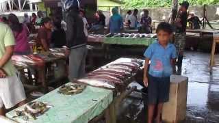 preview picture of video 'Indonesia - Fish market in Langur / Tual'
