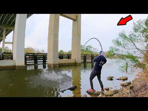 5 Days Catching Massive Fish Under Bridges!