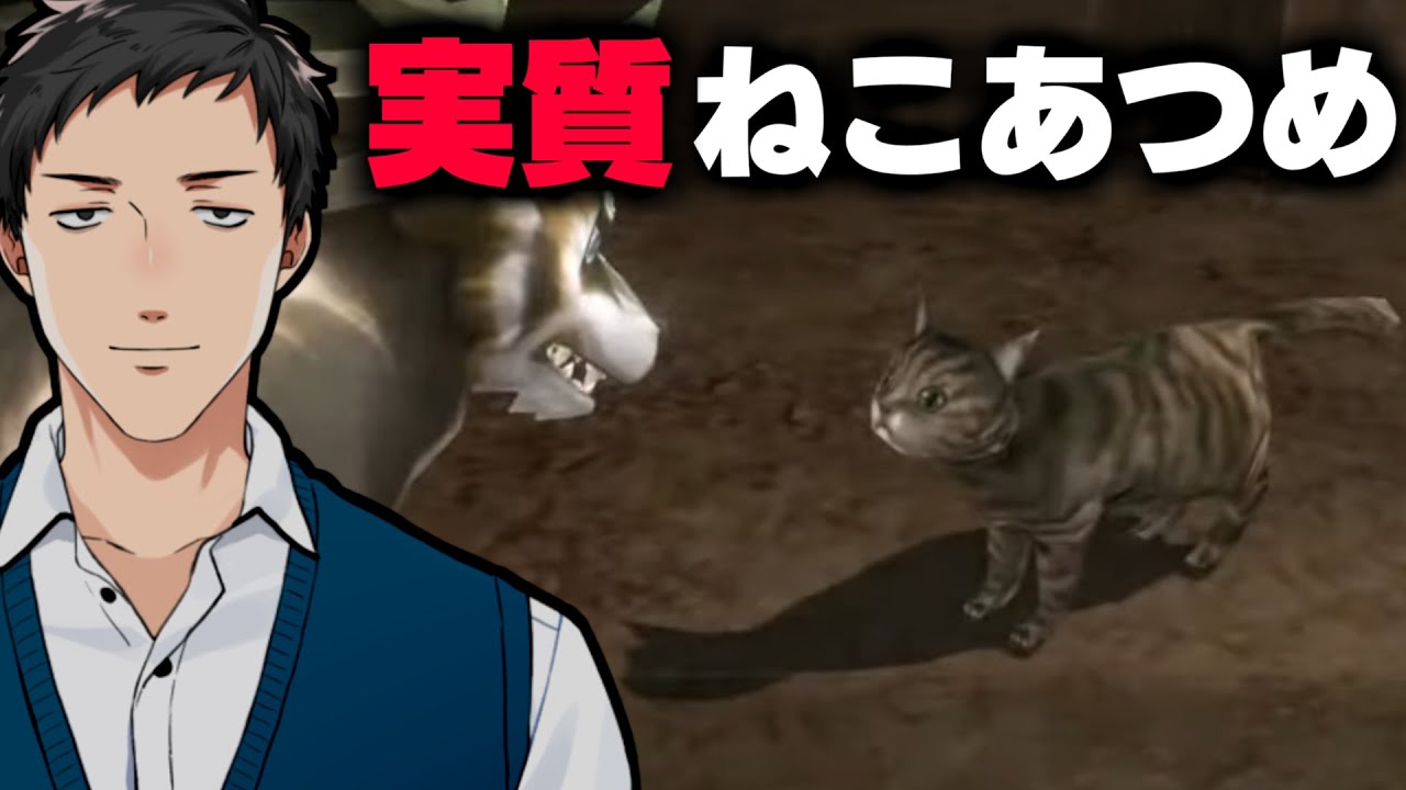 【ゼルダの伝説 トワイライトプリンセス HD #10】天空人の正体を我々調査隊が追う！！【にじさんじ/社築】